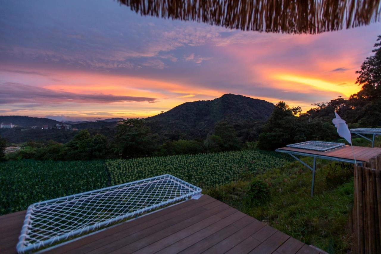 Stellar Goldenhill Cameron Tanah Rata Exterior photo