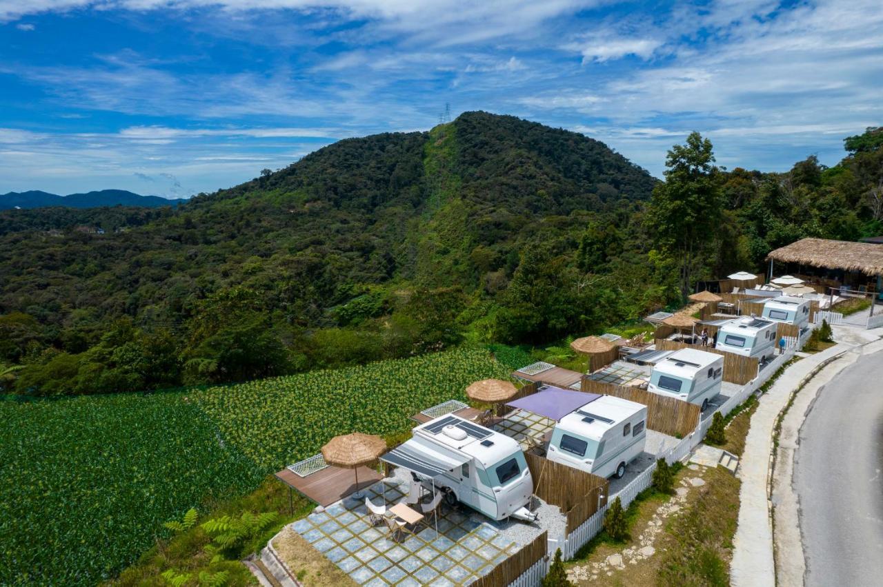 Stellar Goldenhill Cameron Tanah Rata Exterior photo